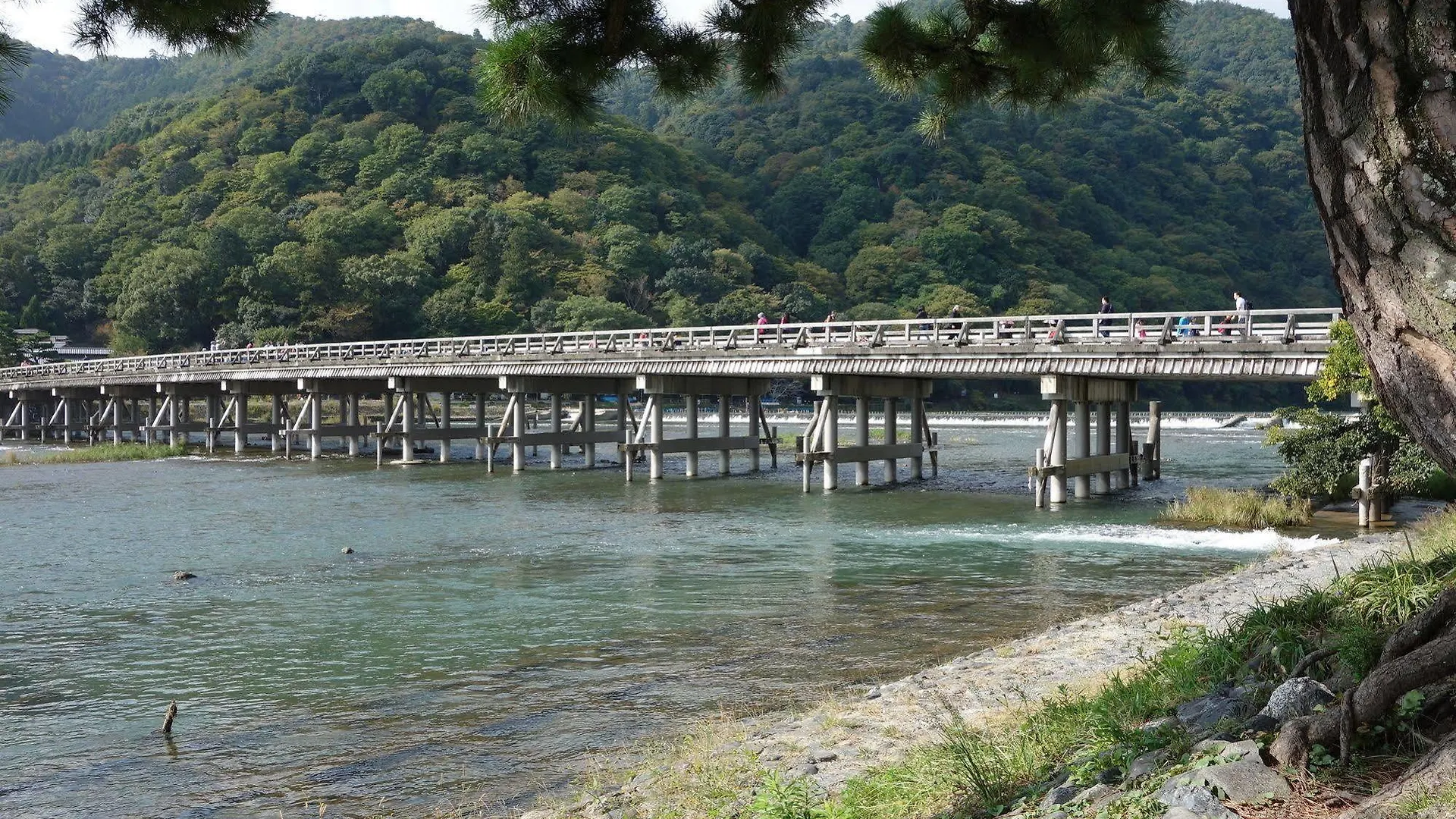 Apa京都站前别墅酒店 京都